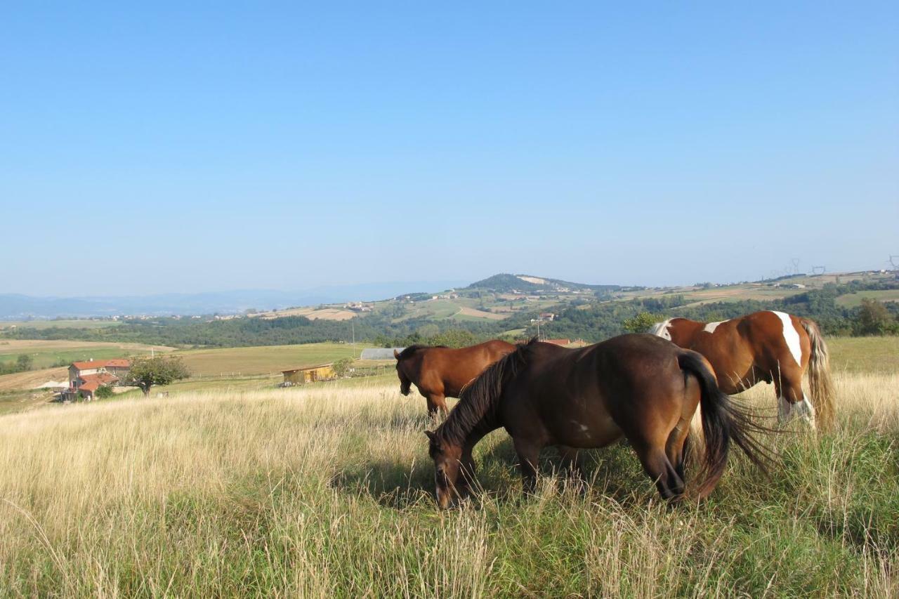Gite Le Corral Cheminas Kültér fotó